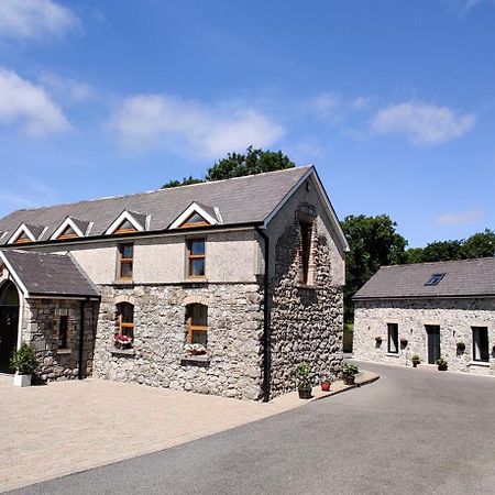 Moynure House Boutique B&B & Separate Two Bedroom Chalet Athlone Exterior photo