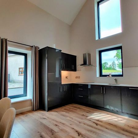 Moynure House Boutique B&B & Separate Two Bedroom Chalet Athlone Exterior photo