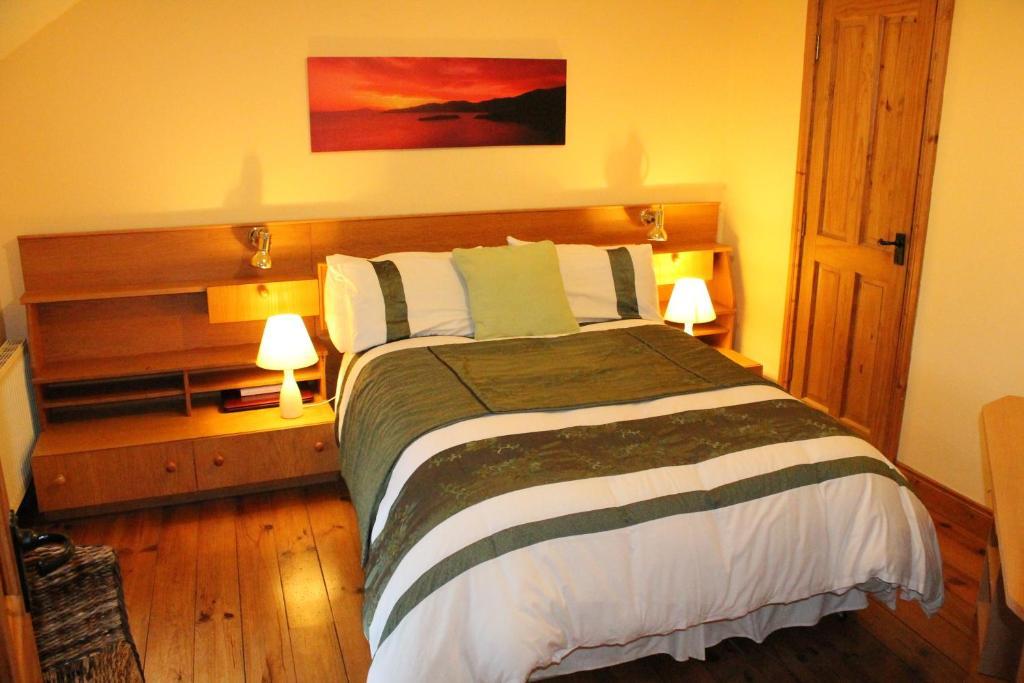 Moynure House Boutique B&B & Separate Two Bedroom Chalet Athlone Exterior photo